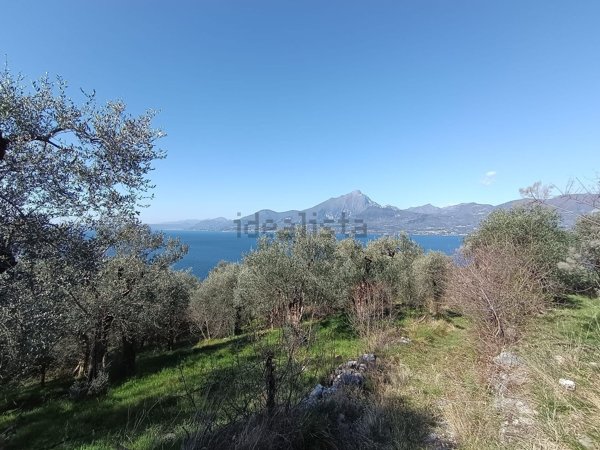 terreno agricolo in vendita a Torri del Benaco