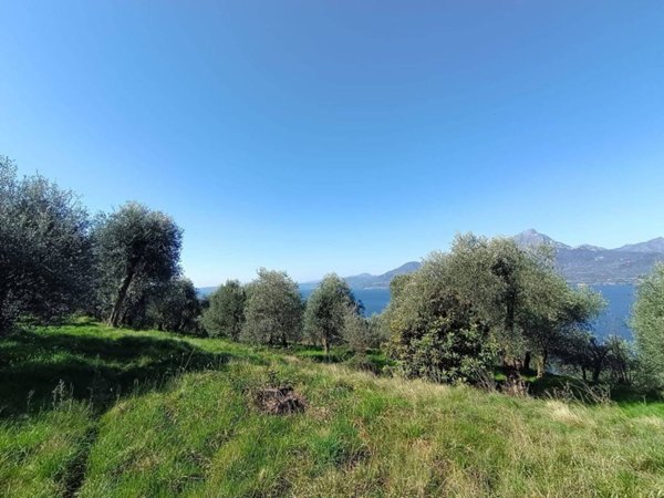 terreno agricolo in vendita a Torri del Benaco