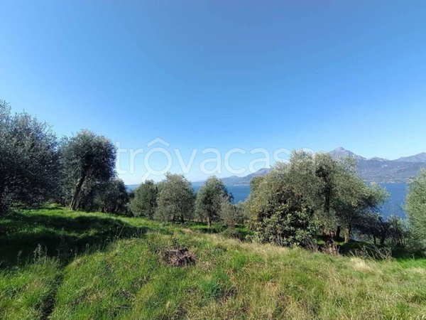 terreno agricolo in vendita a Torri del Benaco