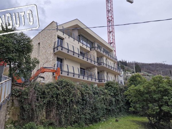appartamento in vendita a Torri del Benaco in zona Albisano