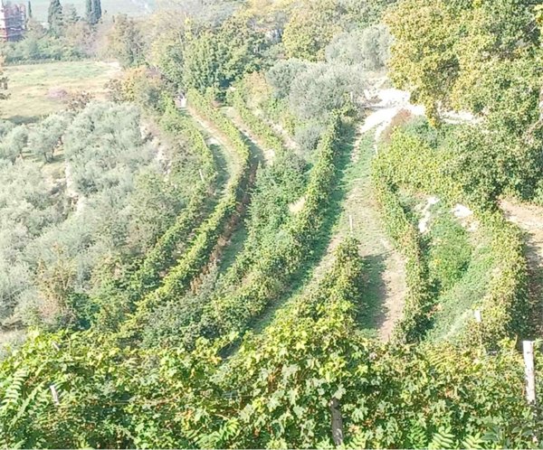 monolocale in vendita a Tregnago