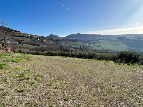 terreno agricolo in vendita a Tregnago