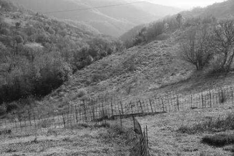 terreno edificabile in vendita a Tregnago