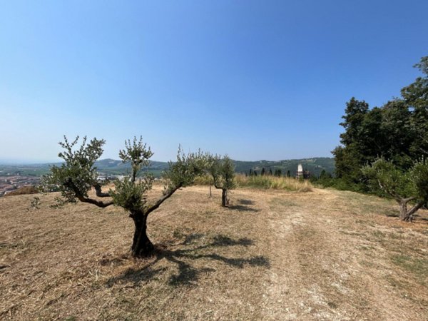terreno agricolo in vendita a Tregnago