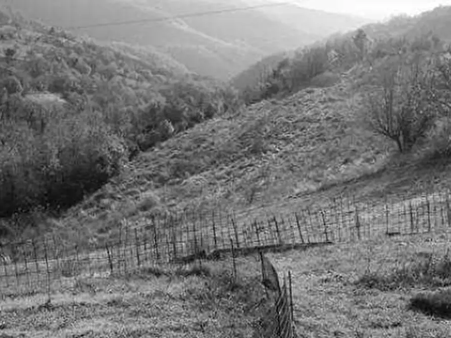 mansarda in vendita a Tregnago
