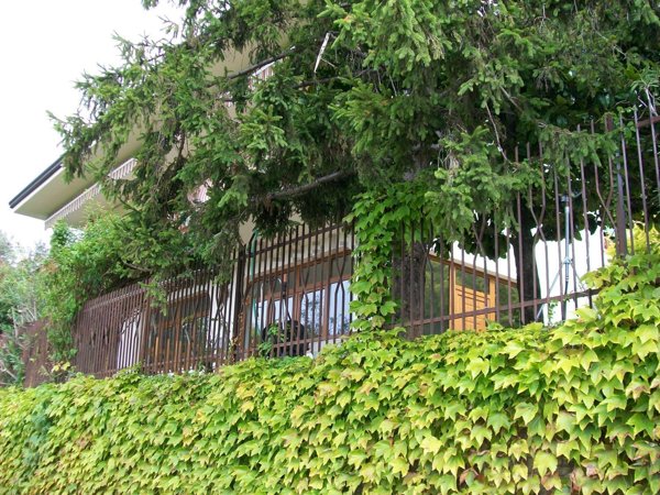 casa indipendente in vendita a Tregnago