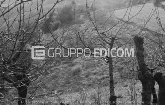 terreno agricolo in vendita a Tregnago