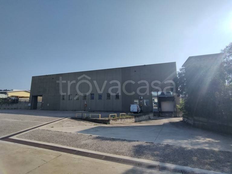 capannone in vendita a Tregnago