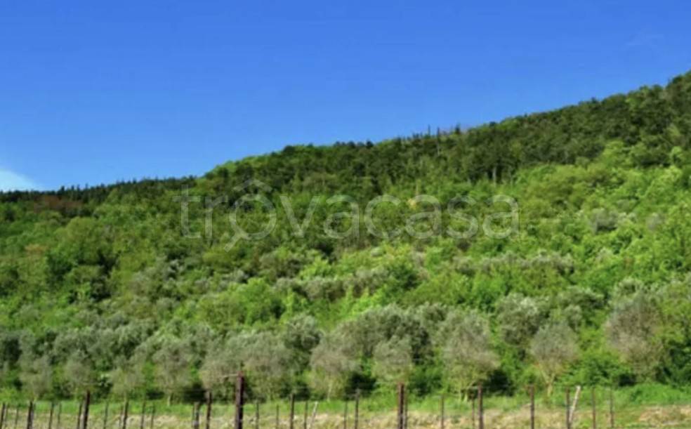 casa indipendente in vendita a Tregnago