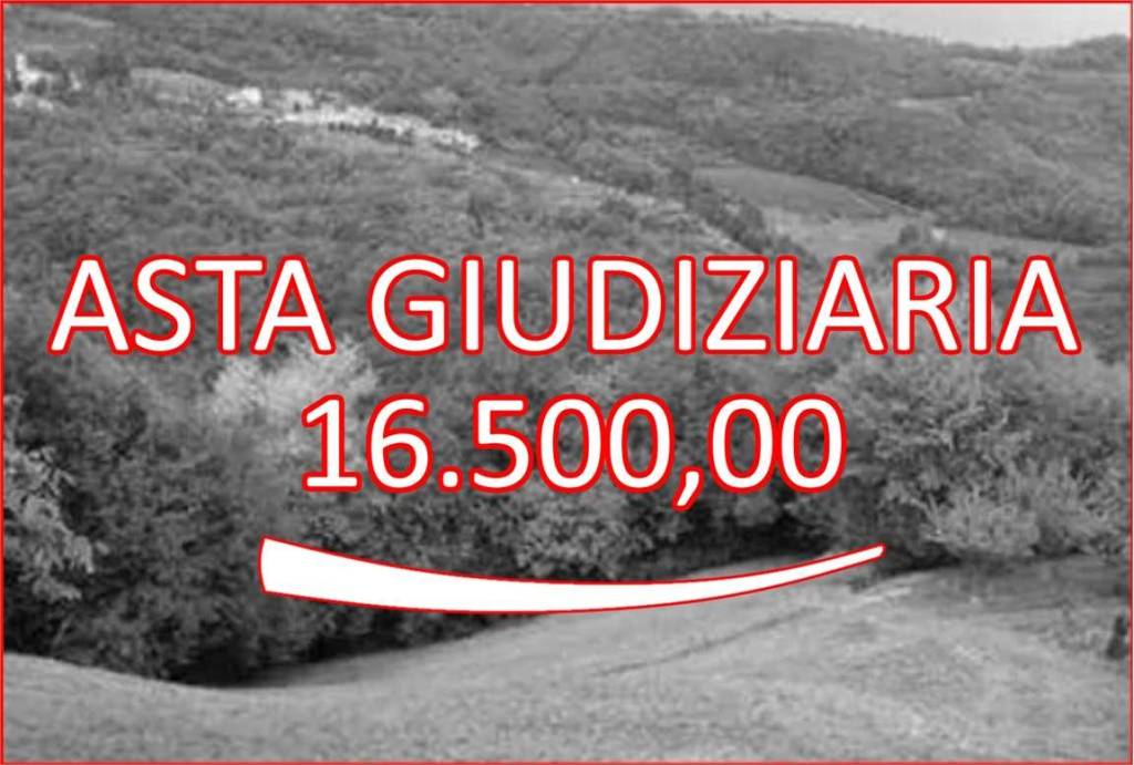 terreno agricolo in vendita a Tregnago