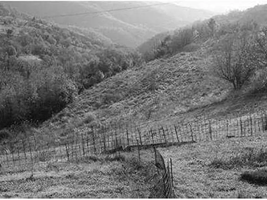 terreno edificabile in vendita a Tregnago