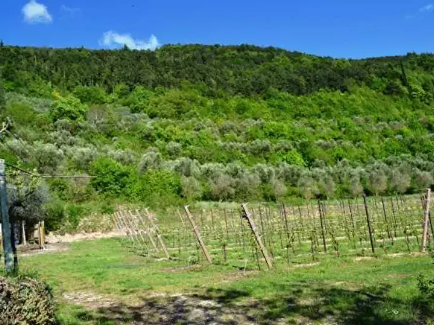 terreno agricolo in vendita a Tregnago