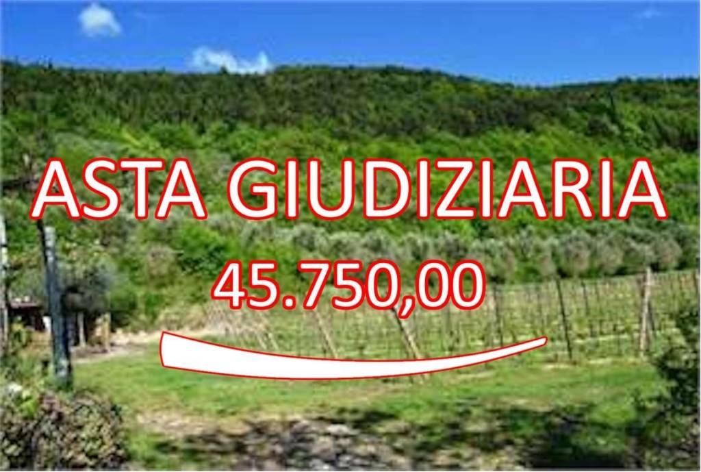 terreno agricolo in vendita a Tregnago