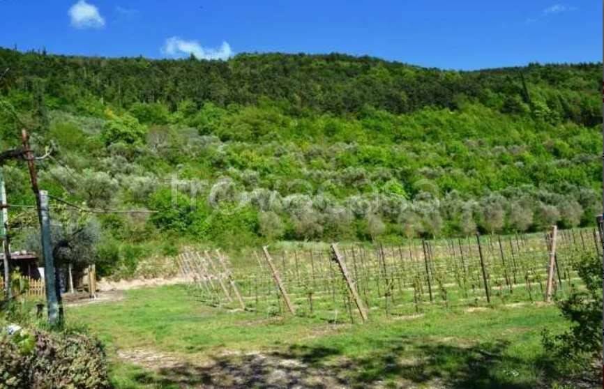 monolocale in vendita a Tregnago