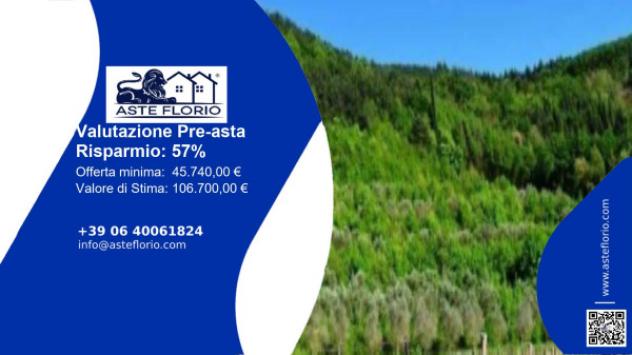 terreno agricolo in vendita a Tregnago