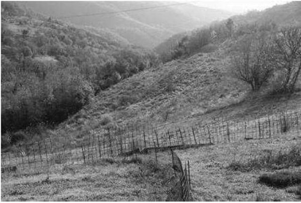 terreno edificabile in vendita a Tregnago
