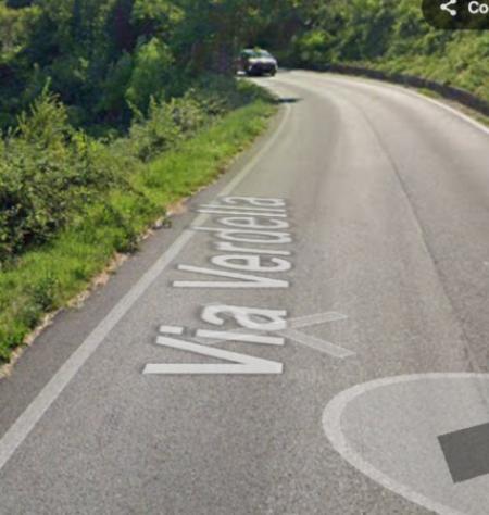 terreno agricolo in vendita a Tregnago