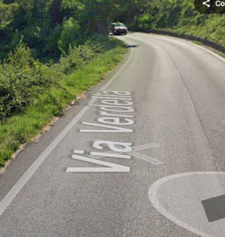 terreno agricolo in vendita a Tregnago