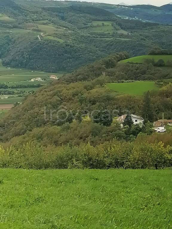 terreno agricolo in vendita a Tregnago