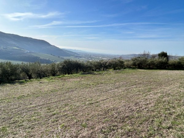terreno agricolo in vendita a Tregnago