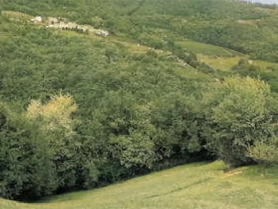 terreno agricolo in vendita a Tregnago