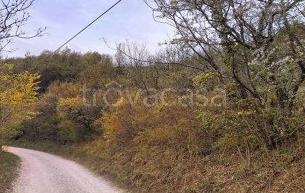 terreno agricolo in vendita a Tregnago