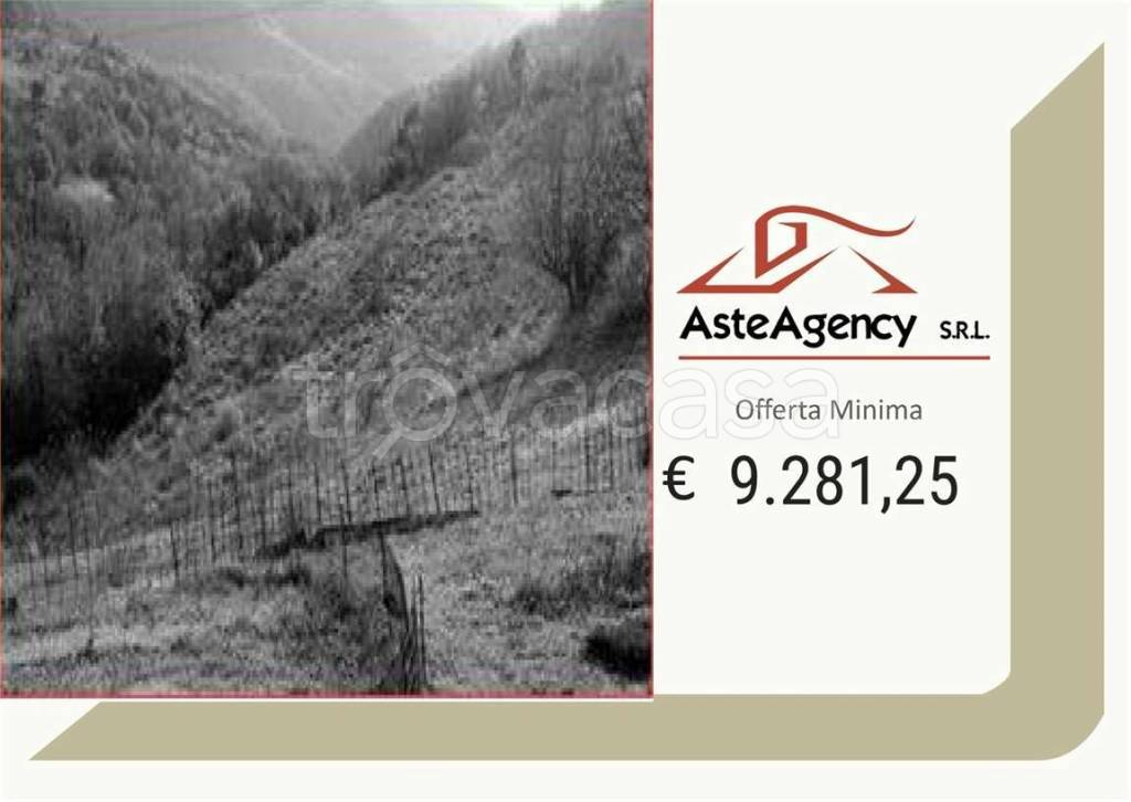 terreno agricolo in vendita a Tregnago