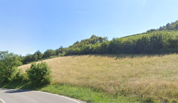 terreno agricolo in vendita a Tregnago