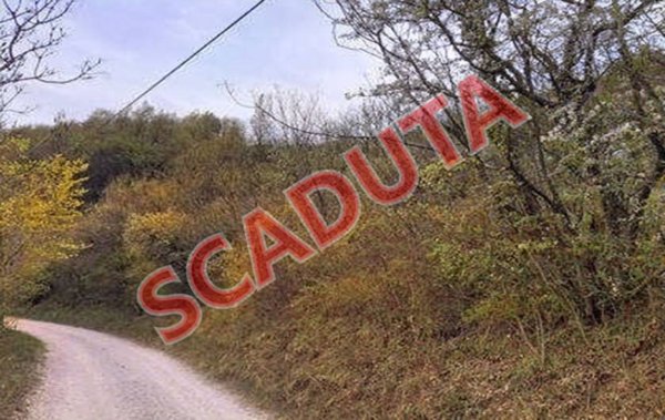 terreno agricolo in vendita a Tregnago