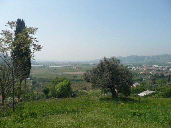 terreno edificabile in vendita a Tregnago
