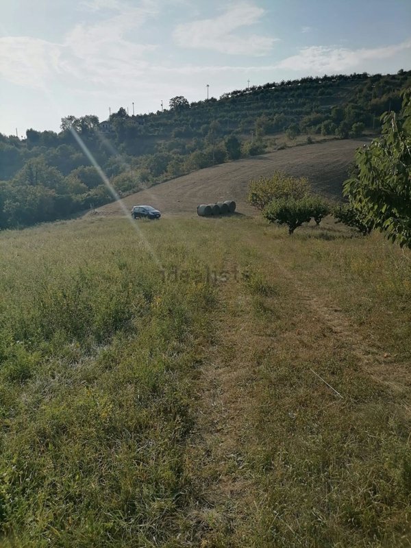 terreno agricolo in vendita a Tregnago