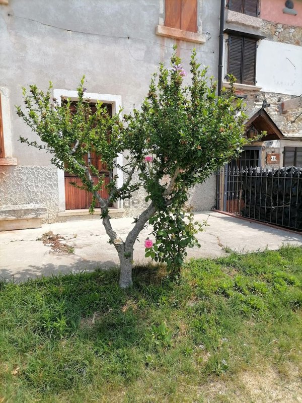 casale in vendita a Tregnago