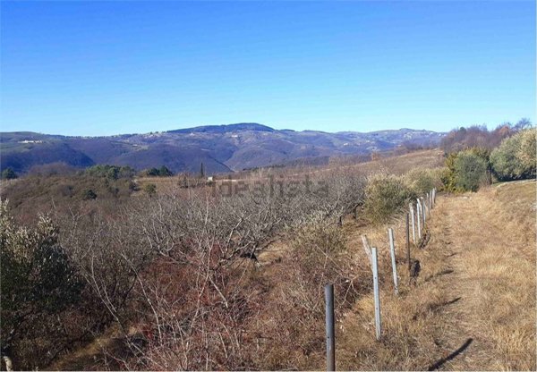 terreno agricolo in vendita a Tregnago