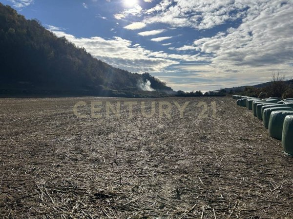 appartamento in vendita a Tregnago in zona Cogollo