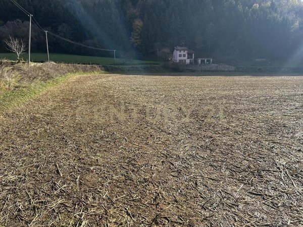 appartamento in vendita a Tregnago in zona Cogollo