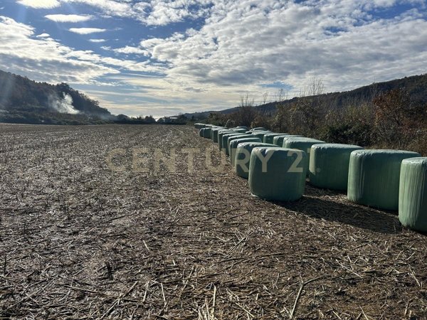 appartamento in vendita a Tregnago in zona Cogollo