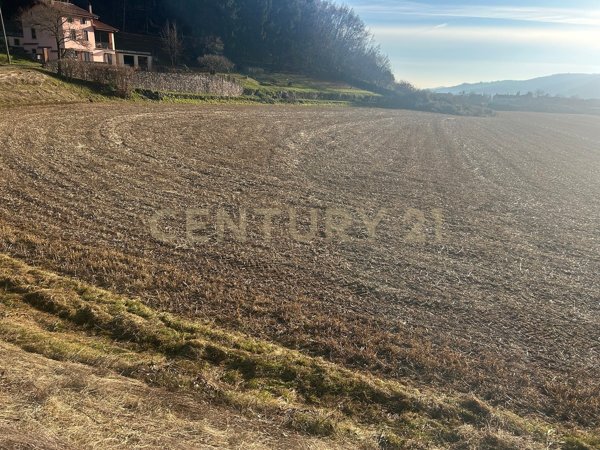 casa indipendente in vendita a Tregnago in zona Cogollo