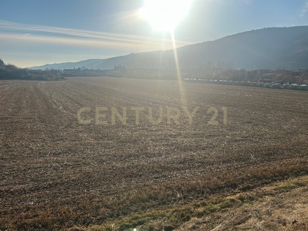 casa indipendente in vendita a Tregnago in zona Cogollo