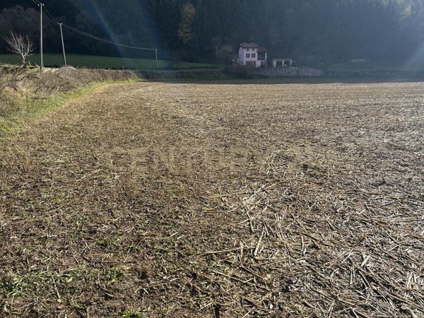 appartamento in vendita a Tregnago in zona Cogollo