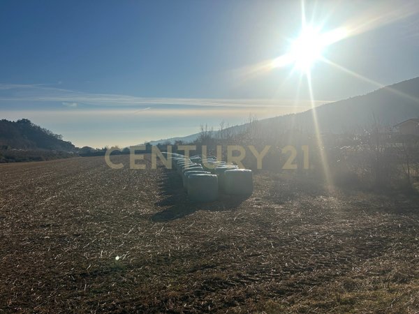 appartamento in vendita a Tregnago in zona Cogollo
