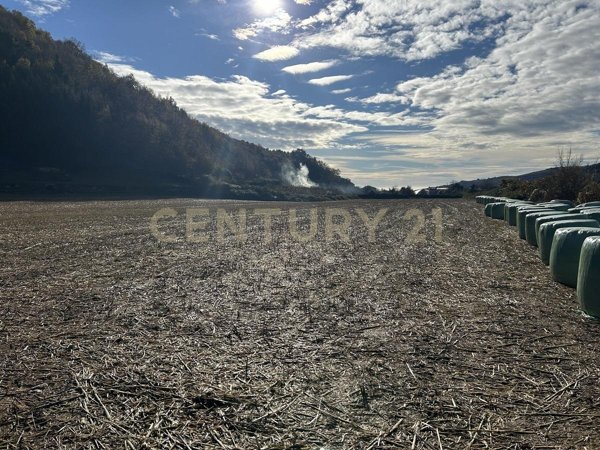 appartamento in vendita a Tregnago in zona Cogollo
