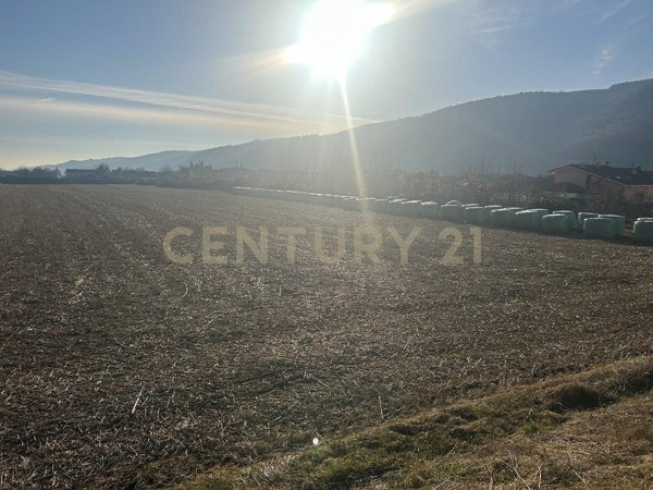 appartamento in vendita a Tregnago in zona Cogollo