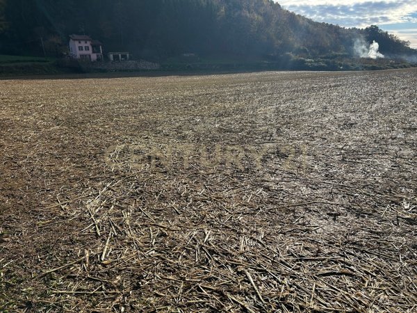 casa indipendente in vendita a Tregnago in zona Cogollo