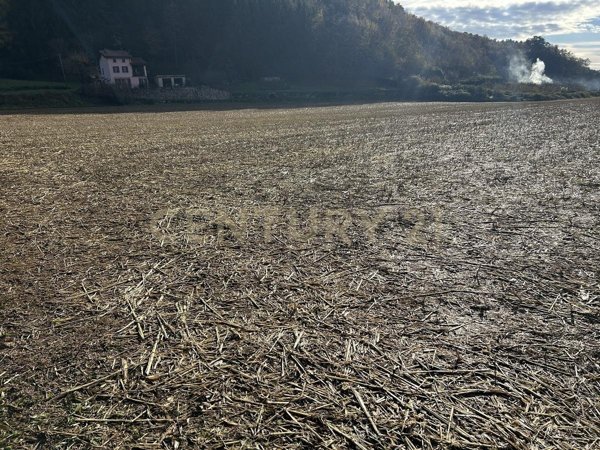 appartamento in vendita a Tregnago in zona Cogollo