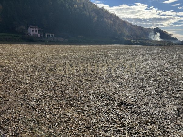 appartamento in vendita a Tregnago in zona Cogollo