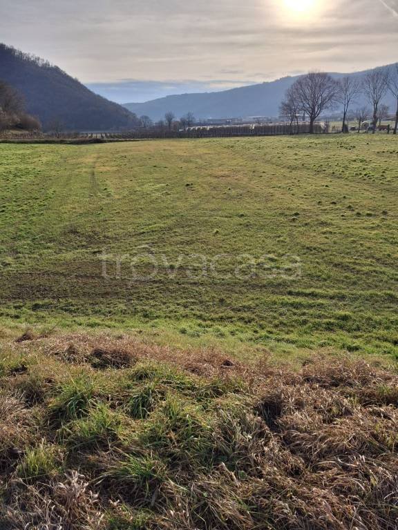 terreno agricolo in vendita a Tregnago in zona Cogollo