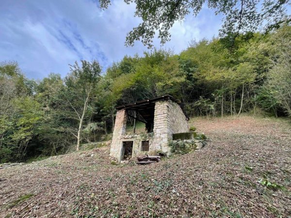 terreno agricolo in vendita a Tregnago in zona Cogollo