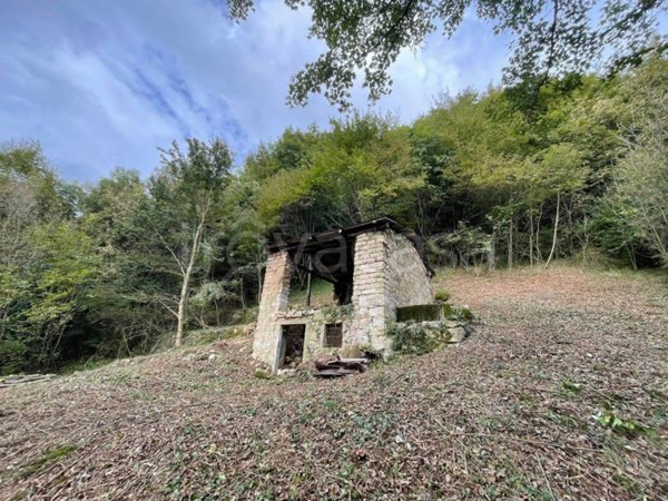 terreno agricolo in vendita a Tregnago in zona Cogollo