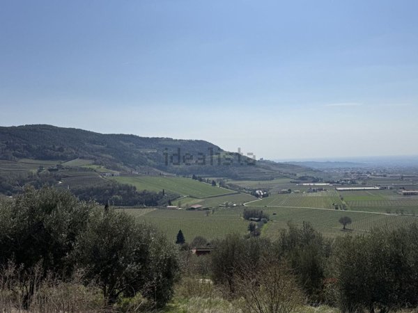 terreno edificabile in vendita a Tregnago