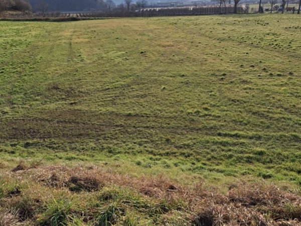 terreno agricolo in vendita a Tregnago in zona Cogollo